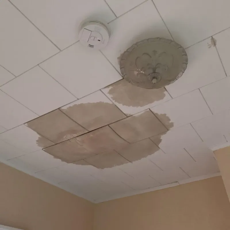 Ceiling Water Damage Repair in Lake Pocotopaug, CT