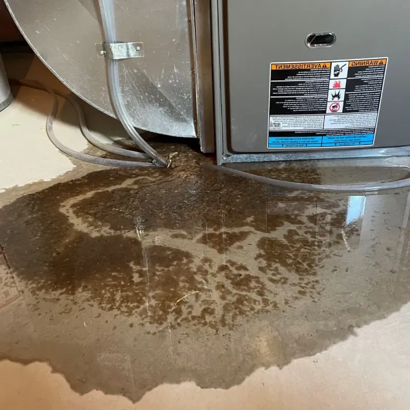 Pipe Burst and Leak Restoration in Lake Pocotopaug, CT